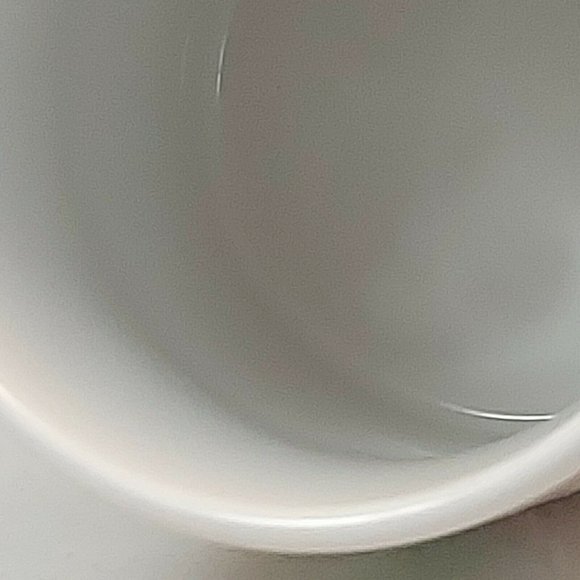 2011 Peanuts Worldwide LLC Snoopy Charlie Brown Woodstock Christmas Mug - Picture 4 of 8